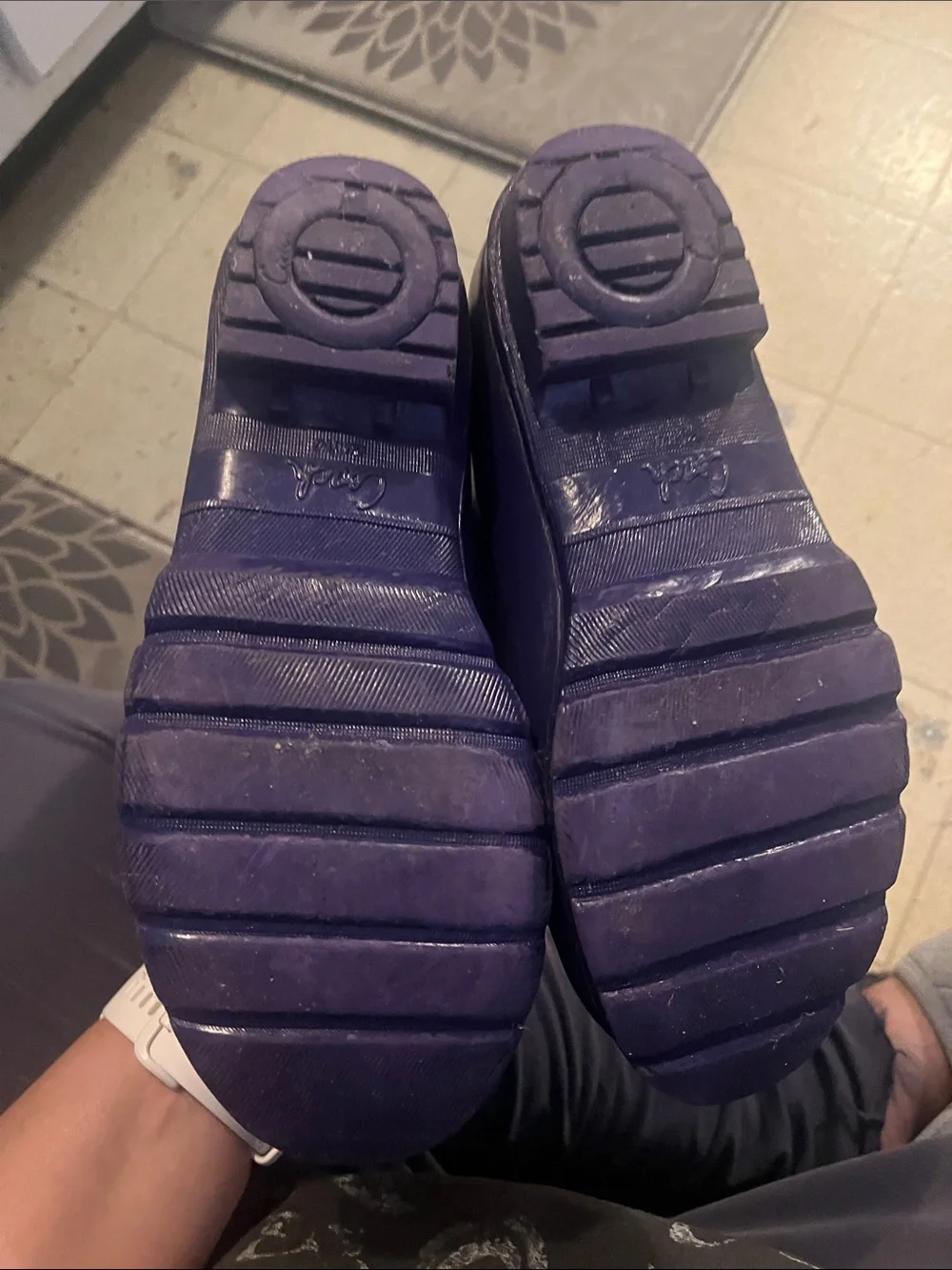 Coach stylish purple